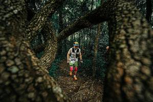 BIB: 
                            <button type="button" onclick="openModal(25668431)" class="btn btn-primary btn-sm float-right btn-popup" data-toggle="modal" data-target=".modal-high-quality">
                        <i class="fas fa-shopping-cart"></i> Add to Cart
                    </button>
                                            <button type="button" onclick="isThisMe(25668431, true)" class="btn btn-success btn-sm float-right btn-popup btn-isme hidden" data-toggle="tooltip" data-placement="bottom" title="นี่คือรูปของคุณใช่ไหม คลิกที่นี่เพื่อเอาเข้าอัลบั้ม">
                        <i class="fas fa-plus"></i> Add to album
                    </button>
                    <button type="button" onclick="isThisMe(25668431, false)" class="btn btn-warning btn-sm float-right btn-popup btn-isnotme hidden">
                        <i class="fas fa-ban"></i> Remove from album
                    </button>